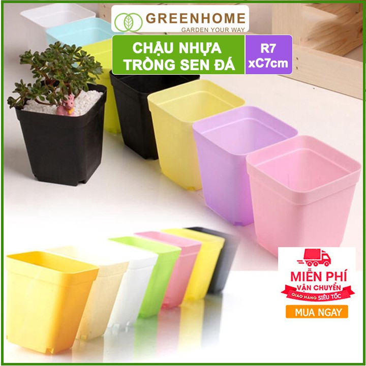 Bộ 5 Chậu nhựa trồng sen đá, 7x7cm, bền, đẹp, màu sắc hiện đại, màu ngẫu nhiên, không dĩa |Greenhome