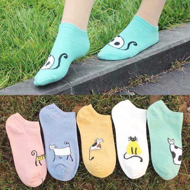 sét 10 đôi tất mèo cổ ngắn cho nữ
