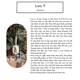 Sáp thơm Angle Botanical ep.2 - ADORA