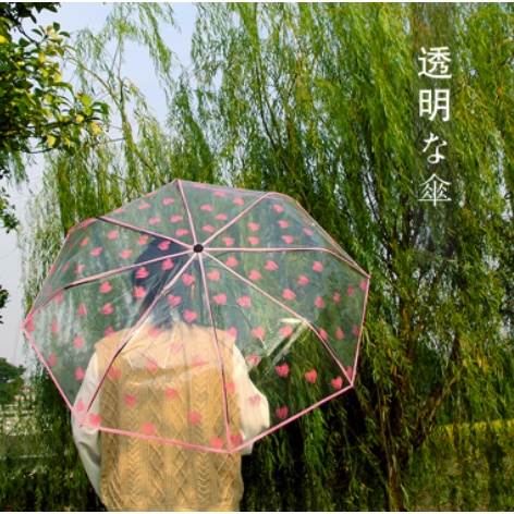 ô dù gấp trong suốt đi mưa cao cấp hoạ tiết thỏ trái tim đáng yêu