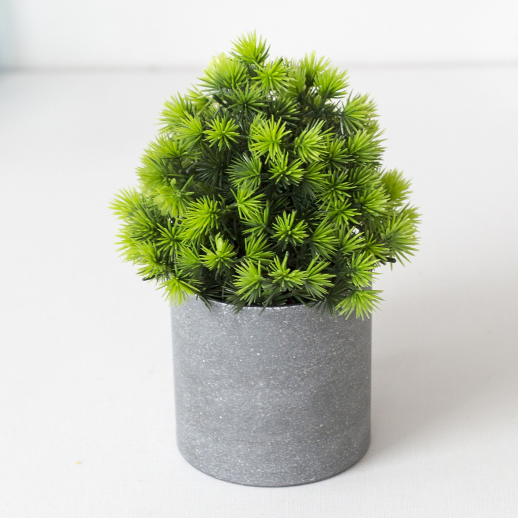 Chậu cây bonsai giả dành cho trang trí sân vườn