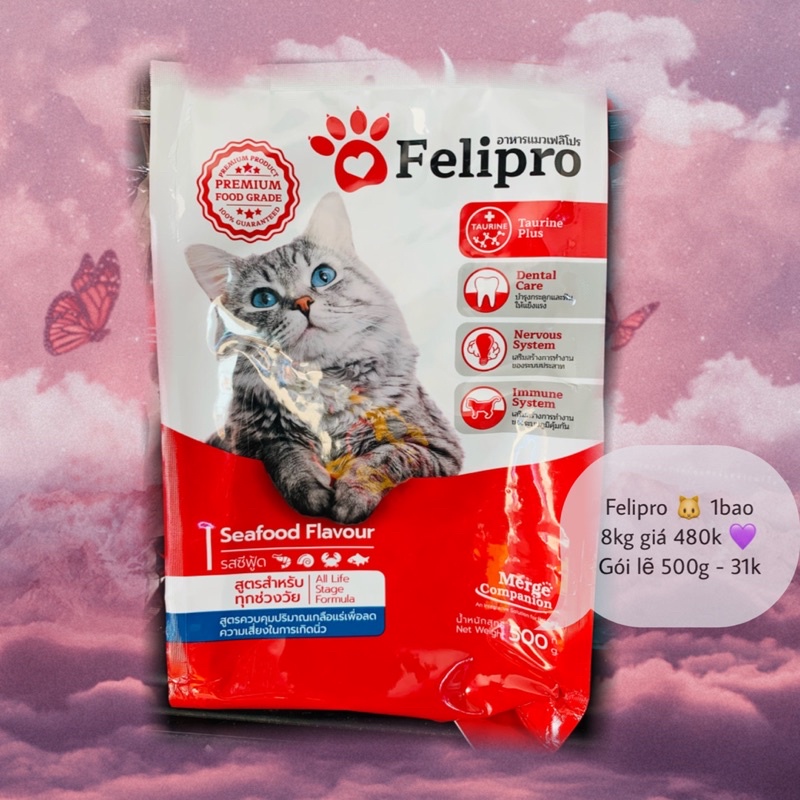 Felipro 🐱 bao lớn 8kg - Dành cho mọi lứa tuổi 🐱