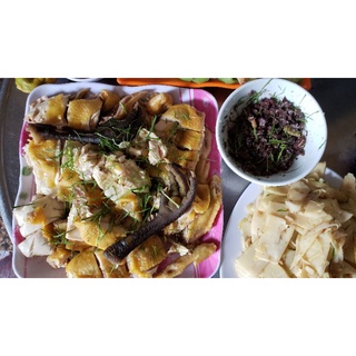 1 Hạt Dổi Nếp Lào Cai