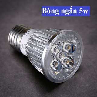 Bóng đèn dài 60 led | Bóng ngắn 5w