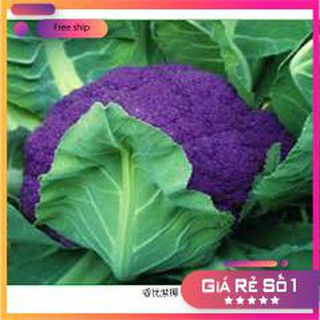 Hạt giống Súp lơ nhiều màu (10 hạt)