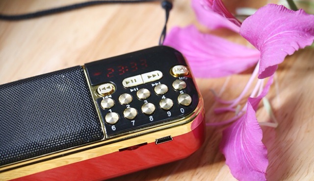 Loa Đài Cầm Tay Nghe Thẻ Nhớ Radio Fm Pin Dung Lượng Cao Âm Lượng Lớn - CA121 CARRIE 8gb Nghe Nhạc Vàng - Đỏ - Niệm Phật