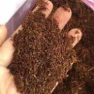 Mùn Xơ dừa xử lý (1kg)