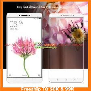 Kính Cường lực full màn Full keo Xiaomi Mi Max 2 chuẩn đẹp