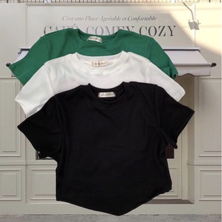 ÁO CROPTOP XẺ V THUN GÂN (ảnh thật)