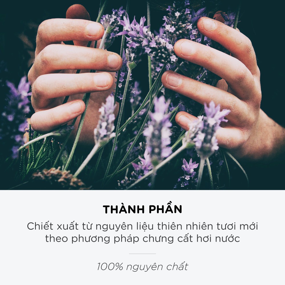 Tinh Dầu Xông Phòng JOY Thiên Nhiên 10ml - Tinh Dầu Sả Chanh-Bưởi - Bạc Hà - Cam - Ngọc Lan Tây - Quế - Hoa Lài