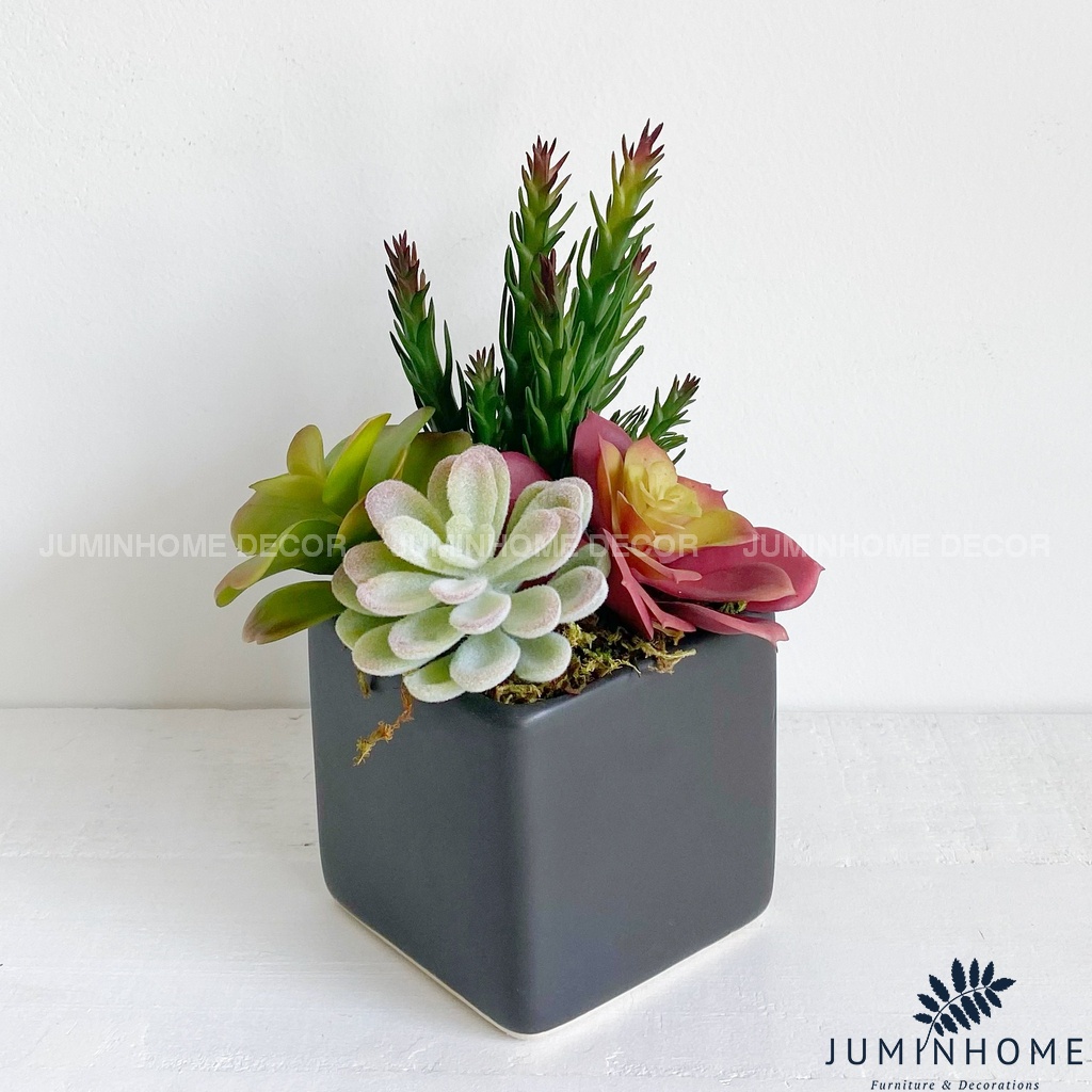 Cây giả Decor - Chậu sen đá vuông Decor trang trí để bàn