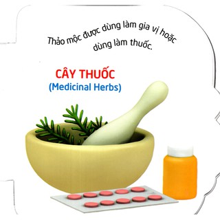 Sách: Thế Giới Trong Mắt Em - Thực Vật
