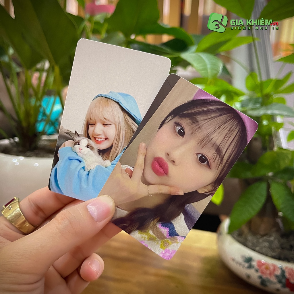 In combo 10 card bo góc không phai không nhòe màu size 8.5x5.5 ảnh theo yêu cầu