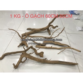 LŨA NHÁNH ĐỖ QUYÊN SETUP HỒ CÁ, HỒ THUỶ SINH