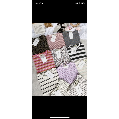 combo 3 áo tay dài cổ tròn màu ngẫu nhiên