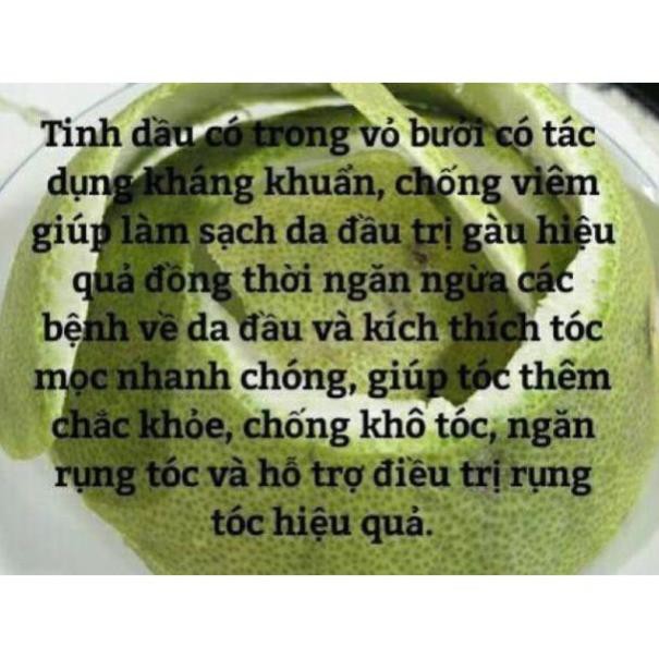 [ĐÁNG TIN CẬY]Thảo dược bồ kết túi lọc🍃chữa rụng tóc🔥nấm tóc🍃30 túi lọc nhỏ