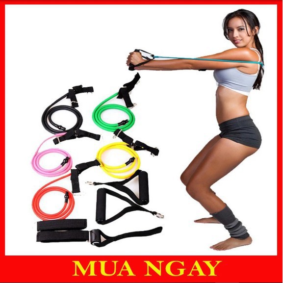 Dây tập gym đa năng, bộ 5 dây tập gym đàn hồi tập thể lực ngũ sắc chính hãng