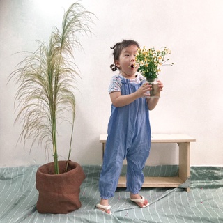 SET HM JUMSUIT CHO BÉ GÁI, ĐỒ ĐI CHƠI BÉ GÁI, JUMSUIT BÉ GÁI CUTE, ĐỒ MẶC TẾT
