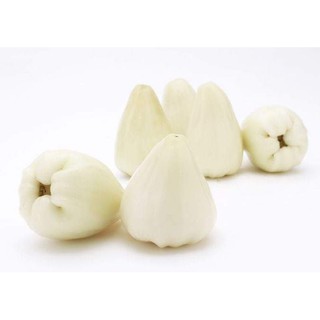 Cây Mận Trắng Sữa