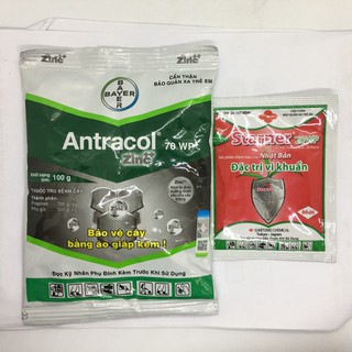 sale off Combo phòng và trị bệnh thối nhũn cho phong lan ( gồm 1 gói Antracol 100gt và 1 gói Staner) hàng chuẩn cty.