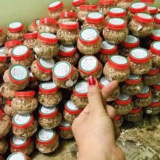 Chẳm chéo khô sơn la lọ 350g