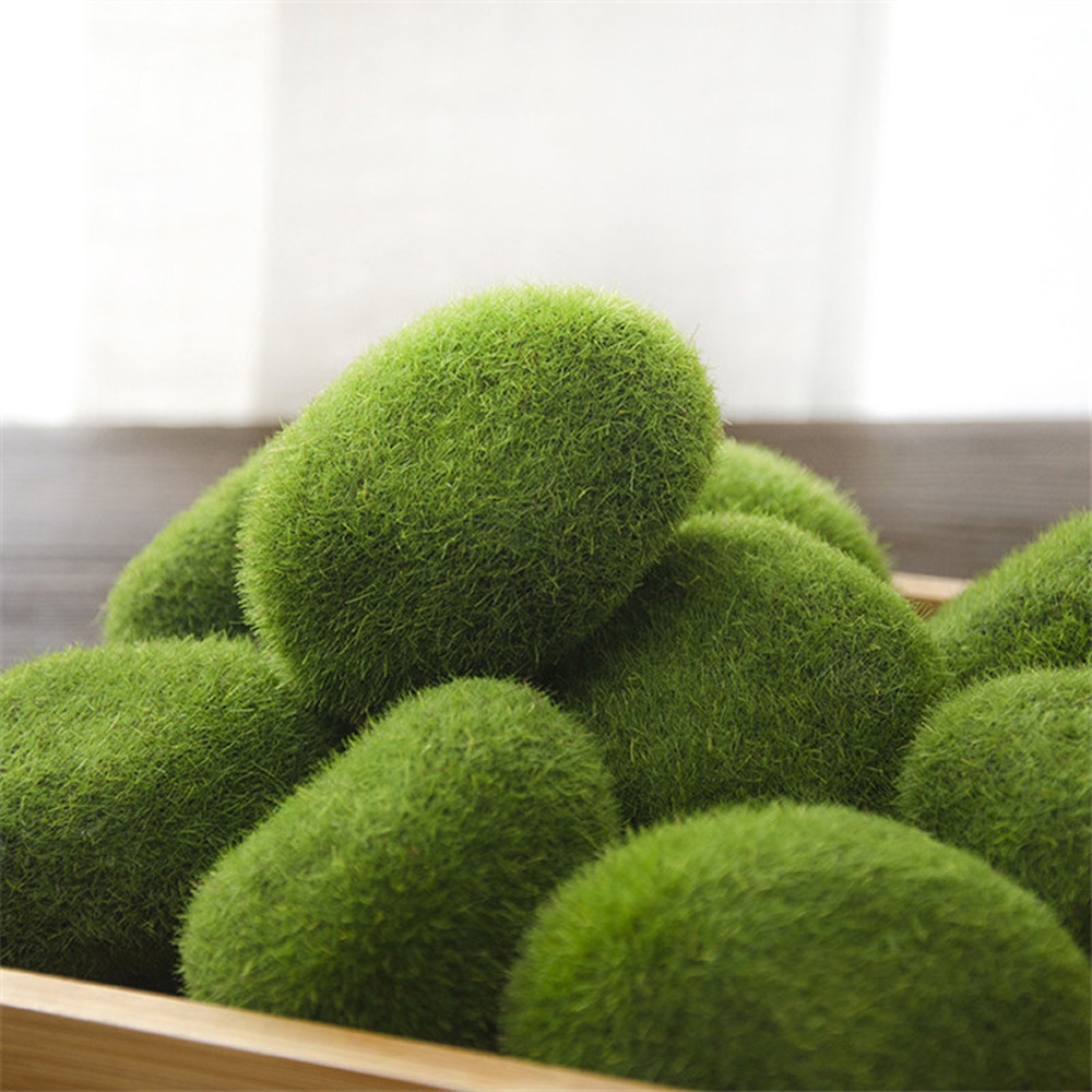 Mô hình rêu xanh trang trí phong cảnh tuyệt đẹp