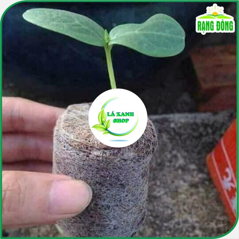 Combo 20 - 50 Viên nén xơ dừa, viên nén ươm hạt trồng rau, trồng hoa, dâu tây, thủy canh