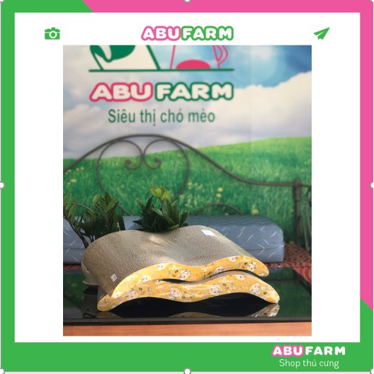 BÀN CÀO MÓNG CHO MÈO