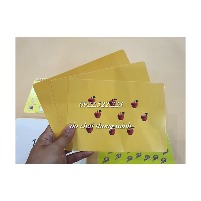 Bộ thẻ dot card Shichida