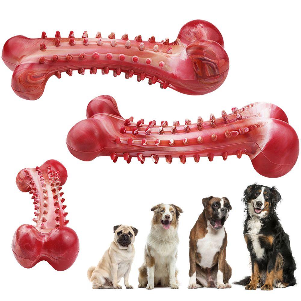 YNATURAL Bàn Chải Đánh Răng Chống Cắn Hình Khúc Xương Cho Thú Cưng