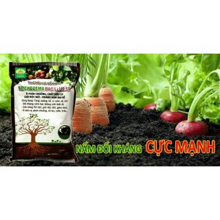 TRICHODERMA – BACILLUS.SP - Tăng hiệu lực đối kháng cho cây trồng .
