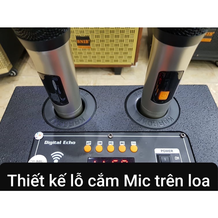 Loa kéo Karaoke Bluetooth CXF GL-807: Bass 20, Có 2 Micro không dây đi kèm