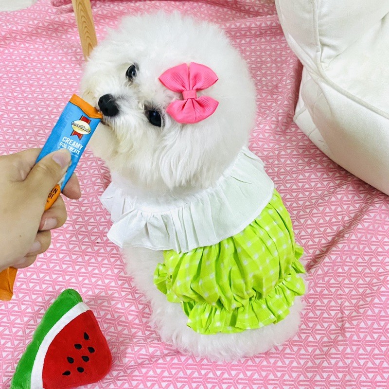 Áo đầm thun dễ thương dành cho thú cưng Đầm cổ bèo ngọt ngào chó mèo