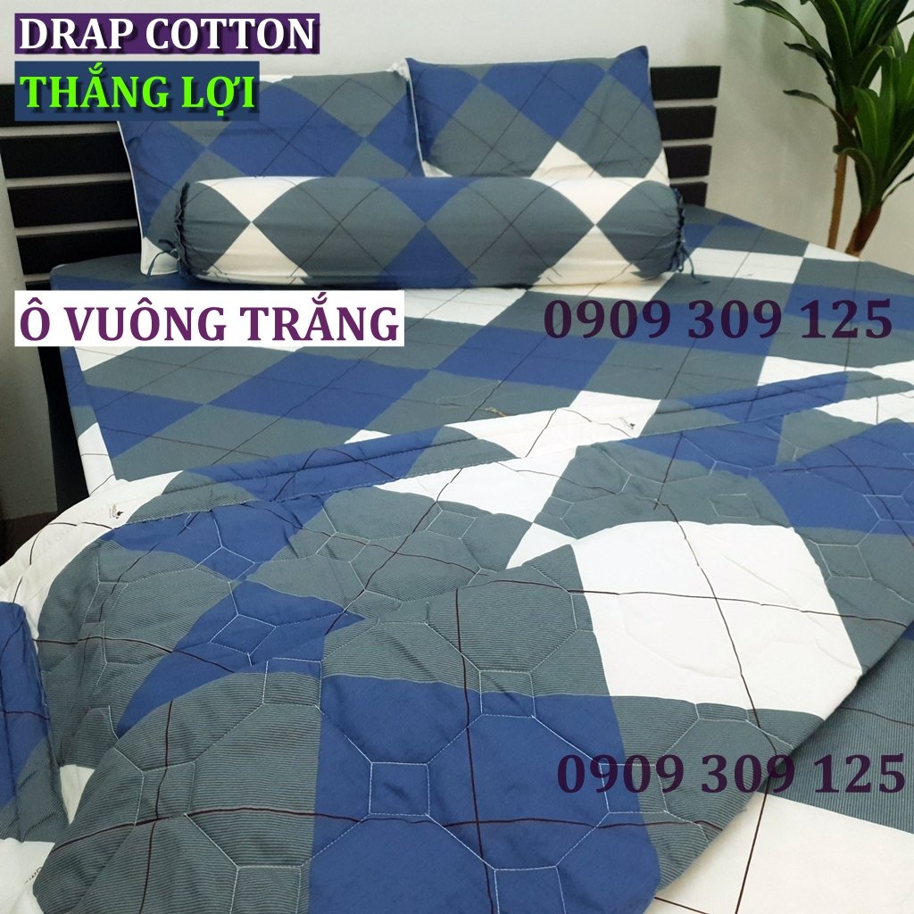 bộ ga Thắng lợi cotton, ga giường IN LOGO (4 món) (mẫu ô xanh xám) ảnh thật