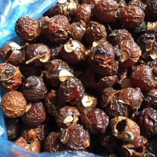 Bồ hòn vàng đã tách hạt
