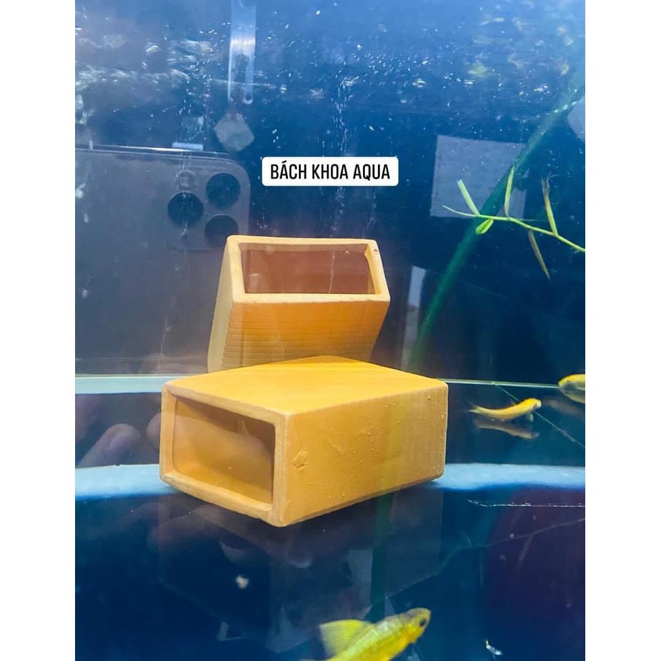 Ống gốm vuông có chỗ trú cho tép