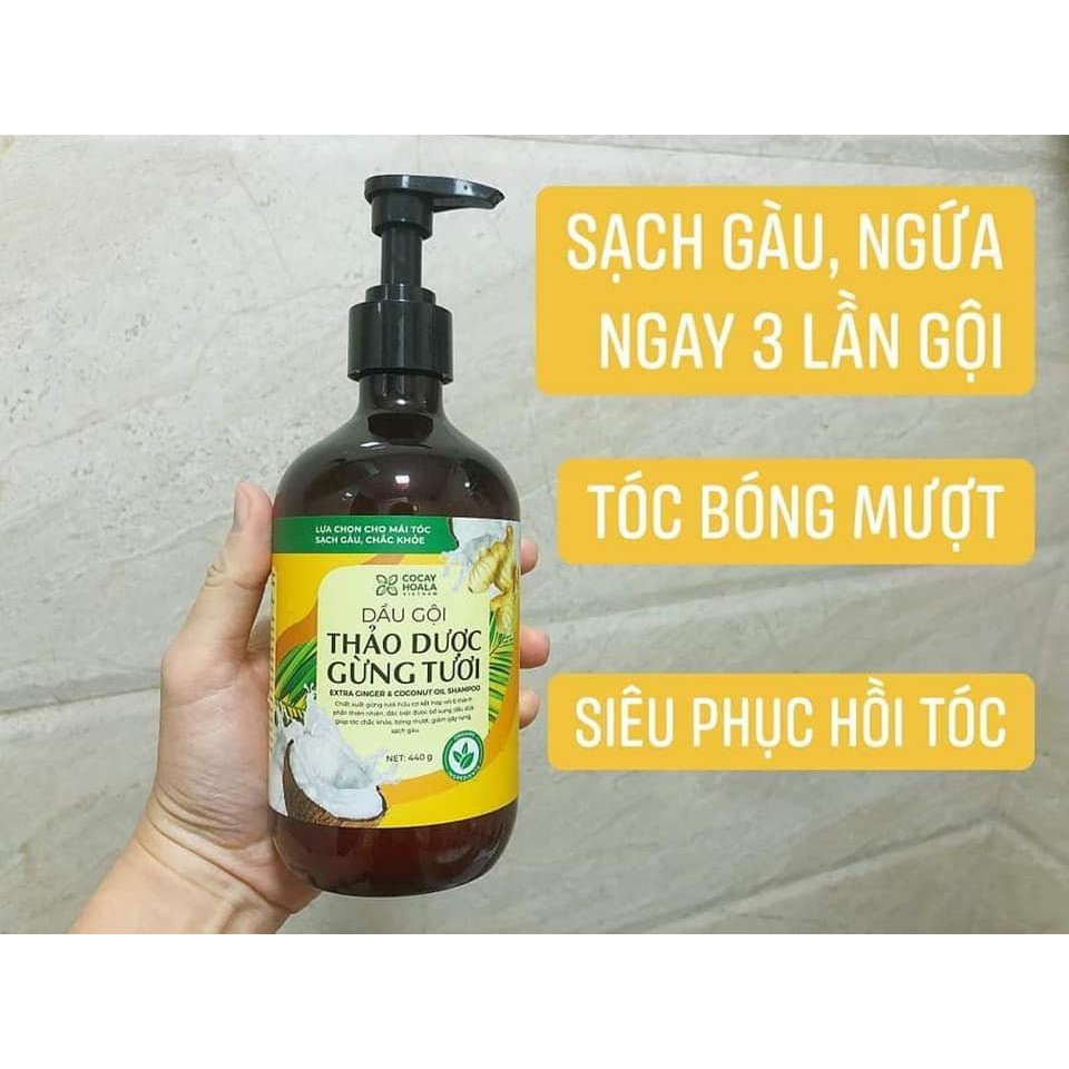 [FREESHIP] Dầu gội thảo dược gừng tươi [MẪU MỚI] Cỏ Cây Hoa Lá sạch gàu, kích thích mọc tóc, giảm gãy rụng