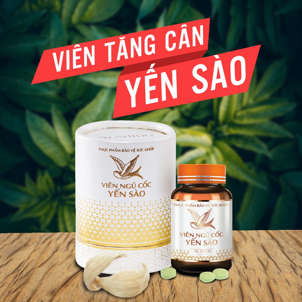 Viên uống tăng cân Yến Sào