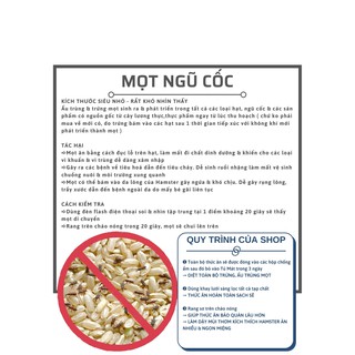 Bỏng Gạo Chai 70g