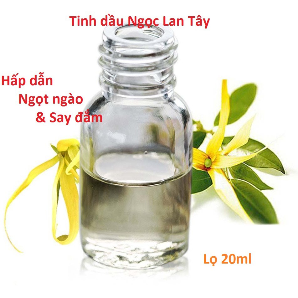 Tinh dầu thơm hương Ngọc Lan Tây lọ 50ml