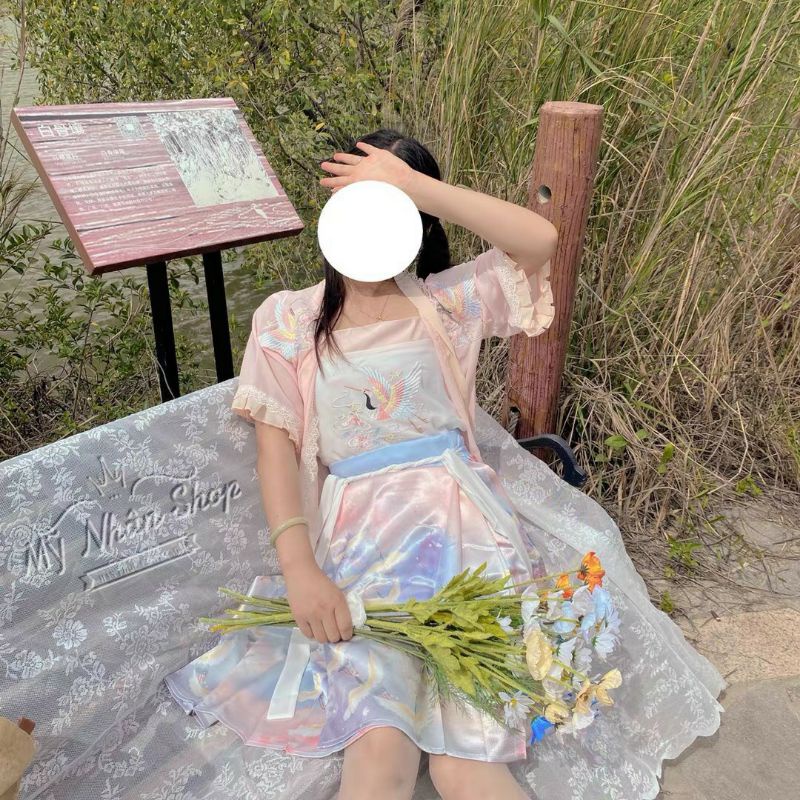 Hán phục cách tân thêu in hạc kết hợp váy mã diệm