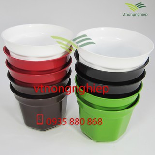 10 Chậu nhựa trồng cây Bát Giác đường kính 12cm