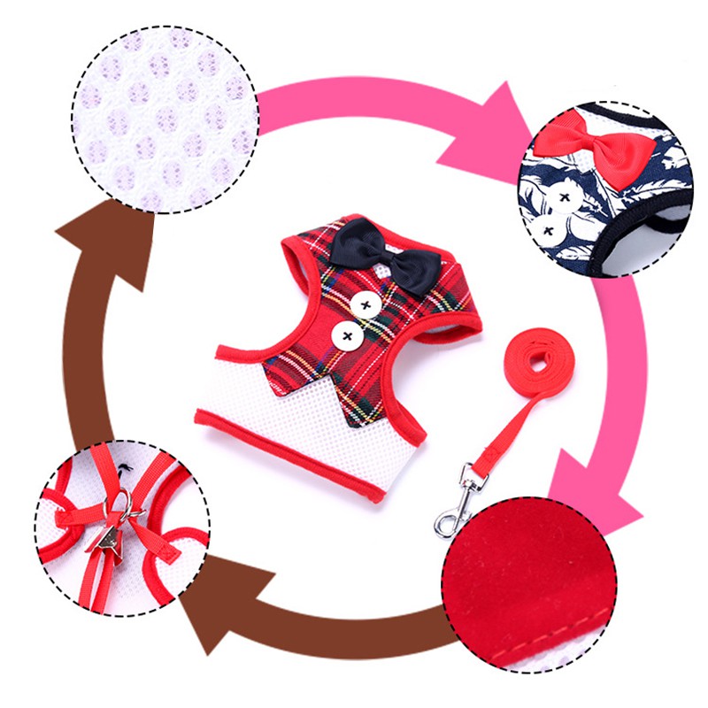 Bộ Áo Lưới Thoáng Khí Kèm Dây Dắt Thú Cưng Đi Dạo