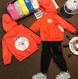 Combo sỉ áo khoác gió