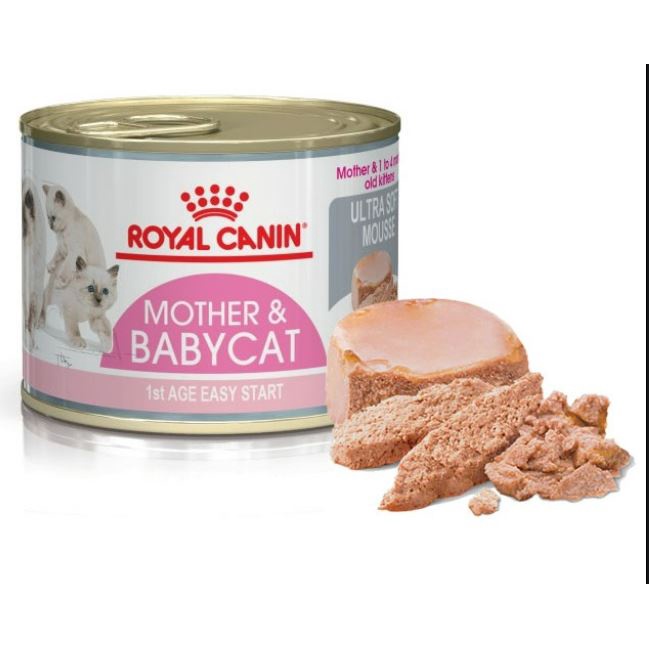 Pate cho mèo - Royal Canin Mother and Baby Cat 195g
