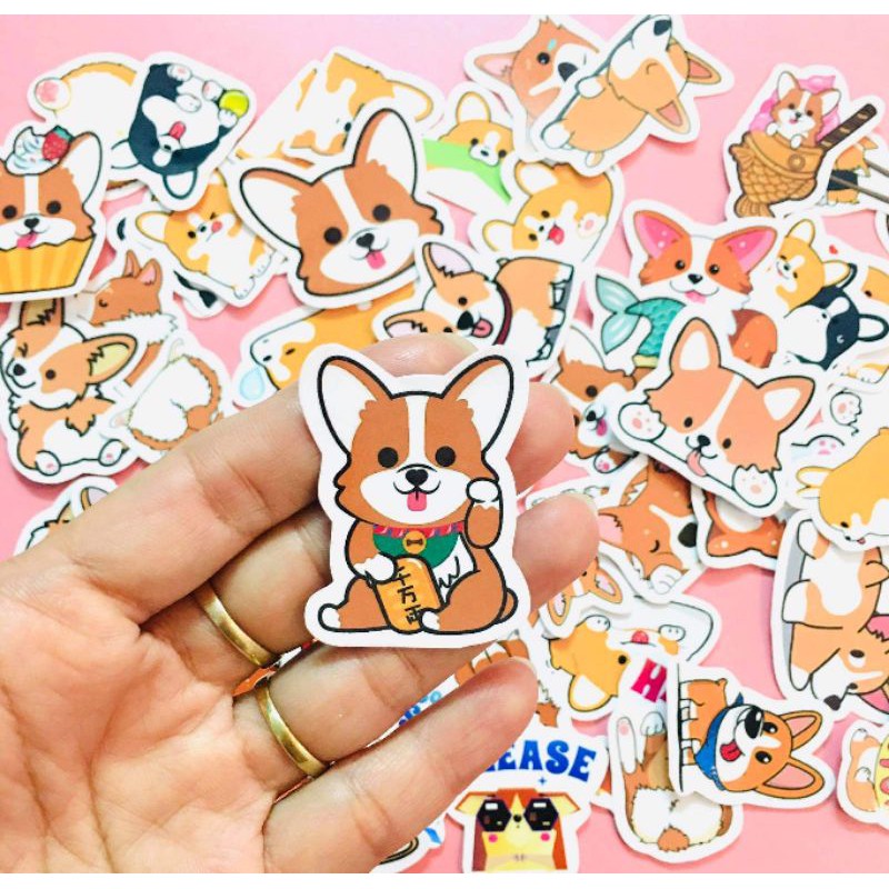 Bộ 10 - 50 hình sticker chú chó corgi cute decal