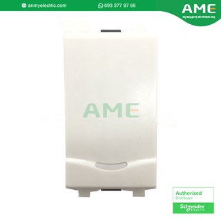 Công tắc 1 chiều 16ax có dạ quang size s dòng concept schneider_3031_1_2m_f_g19