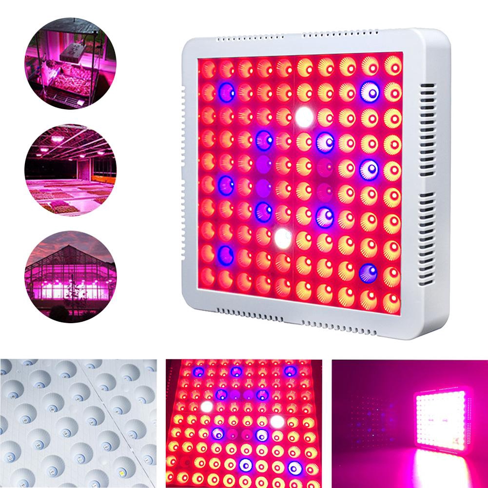 300W LED Grow Light cho cây trồng trong nhà - Full UV UV & IR Plant Grow Light cho Hydroponic Veg Bloom Seedling (300W)