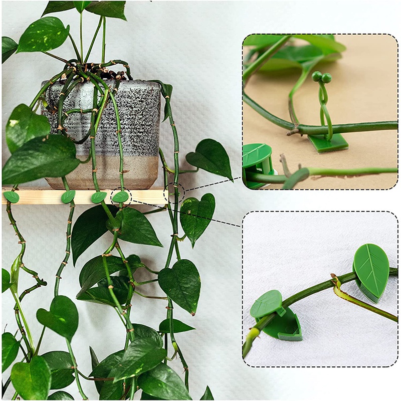 Set 80 Kẹp Cố Định Cây Dây Leo Gắn Tường Trang Trí Nội Thất