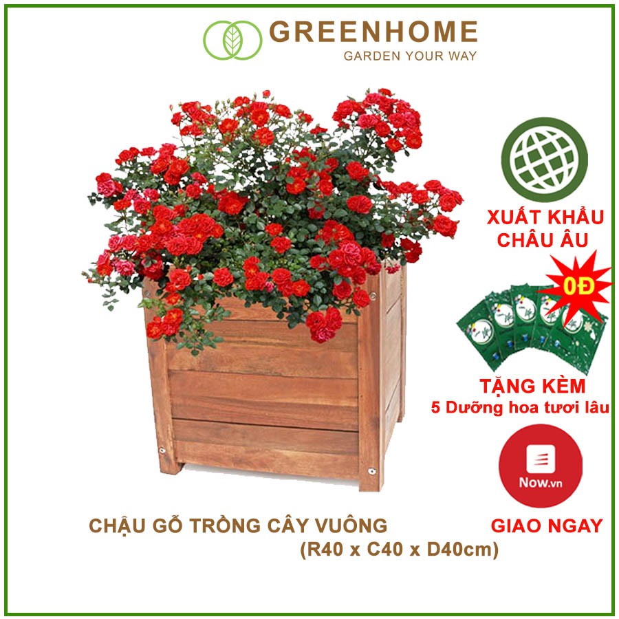 Chậu gỗ trồng cây, hình vuông, D40xR40xC40cm, gỗ Tràm chịu nước, tặng 2 hộp dưỡng hoa tươi lâu |Greenhome